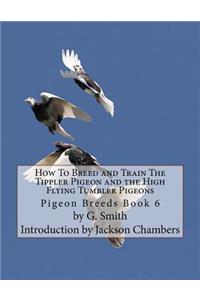 How To Breed and Train The Tippler Pigeon and the High Flying Tumbler Pigeons