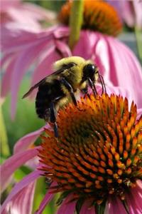 Bee on a Coneflower Journal