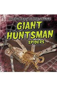 Giant Huntsman Spiders