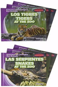 Animales del Zoológico / Zoo Animals: Set 2