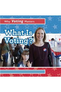 What Is Voting?