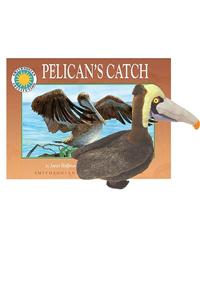 Pelicans Catch