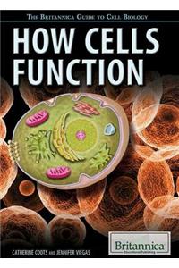 How Cells Function