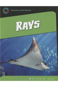 Rays