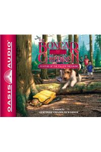 Mystery of the Fallen Treasure (Library Edition)