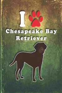 Chesapeake Bay Retriever