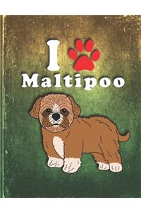 Maltipoo