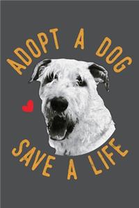 Adopt A Dog Save A Life
