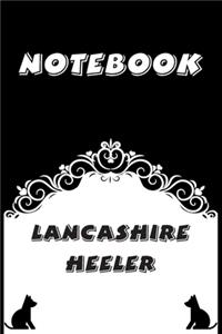 Lancashire Heeler Notebook