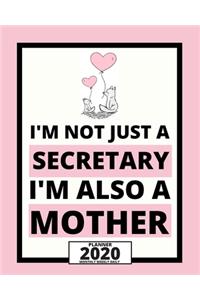 I'm Not Just A Secretary I'm Also A Mother