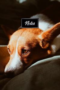 Pembroke Welsh Corgis Dog Pup Puppy Doggie Notebook Bullet Journal Diary Composition Book Notepad - Resting on Sofa