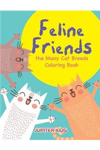 Feline Friends