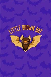 Little Brown Bat