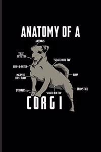 Anatomy Of A Corgi