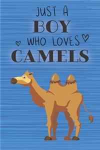 Just a Boy Who Loves Camels