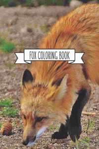 Fox Coloring Book