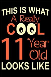 A Really Cool 11 Year Old