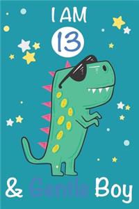 I am 13 and Gentle Boy