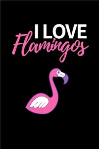 I Love Flamingos