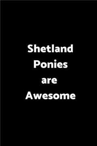 Shetland Ponies Are Awesome