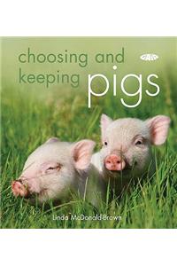 Choosing and Keeping Pigs