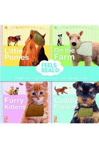Feels Real Gift Set: All Four Titles in Gift Presentation Pack