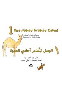 One Humpy Grumpy Camel