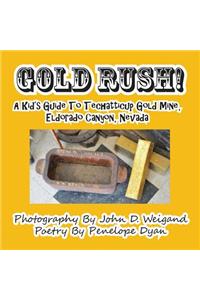 Gold Rush! A Kid's Guide To Techatticup Gold Mine, Eldorado Canyon, Nevada