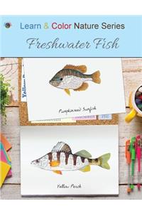 Freshwater Fish