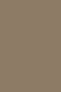 Khaki Combo Lined & Blank Notebook