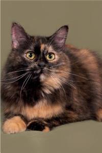 Tortoiseshell Cat Notebook & Journal. Productivity Work Planner & Idea Notepad