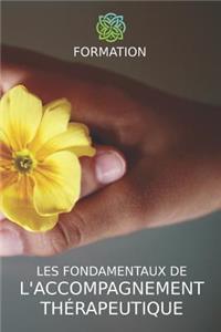 Les Fondamentaux de l'Accompagnement Therapeutique: Formation de Base