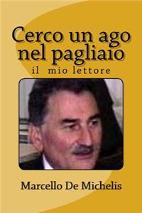 Cerco Un Ago Nel Pagliaio