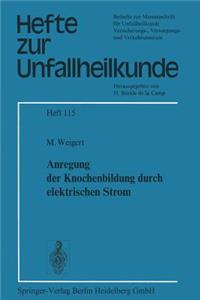 Anregung Der Knochenbildung Durch Elektrischen Strom