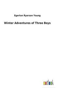 Winter Adventures of Three Boys