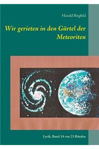 Wir gerieten in den Gürtel der Meteoriten