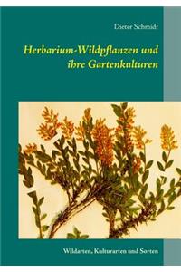 Herbarium-Wildpflanzen und ihre Gartenkulturen