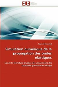 Simulation Numérique de la Propagation Des Ondes Élastiques