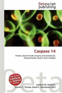 Caspase 14
