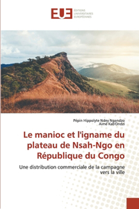 manioc et l'igname du plateau de Nsah-Ngo en République du Congo