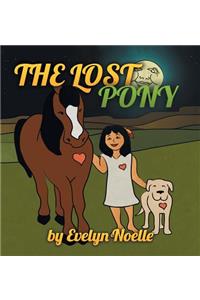 The lost pony