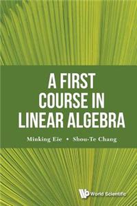 First Course in Linear Algebra