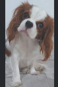 I pensieri di BAU...