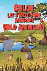 Chloe Let's Meet Some Awesome Wild Animals!