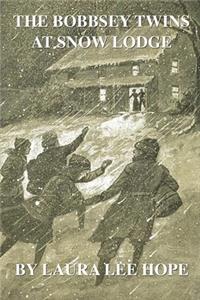 The Bobbsey Twins at Snow Lodge