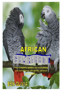 African Grey Parrot