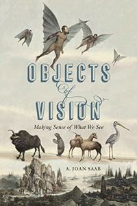 Objects of Vision