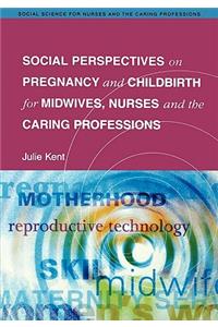 Social Perspectives on Pregnancy and Childbirth for Midwives, Nurses and the Caring Professions