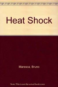 Heat Shock - Proceedings of an International Workshop Breuberg, FRG, October 15-17, 1990