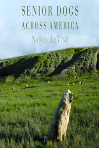 Senior Dogs Across America